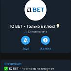 iq bet каппер
